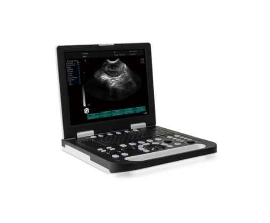 All-digital notebook ultrasound diagnostic instrument WMV-N50（VET)
