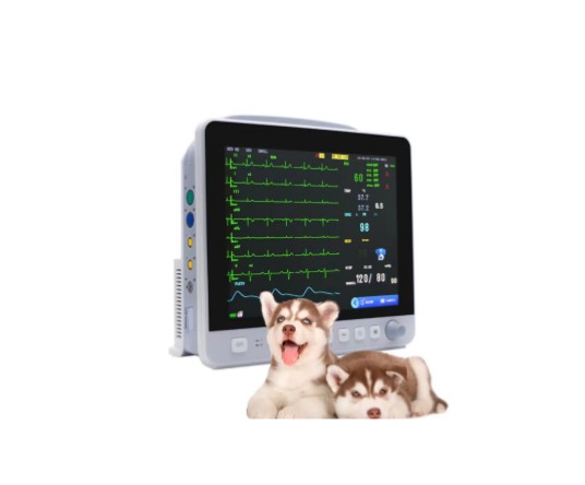 WMV-VE12 Veterinary multi-parameter monitor