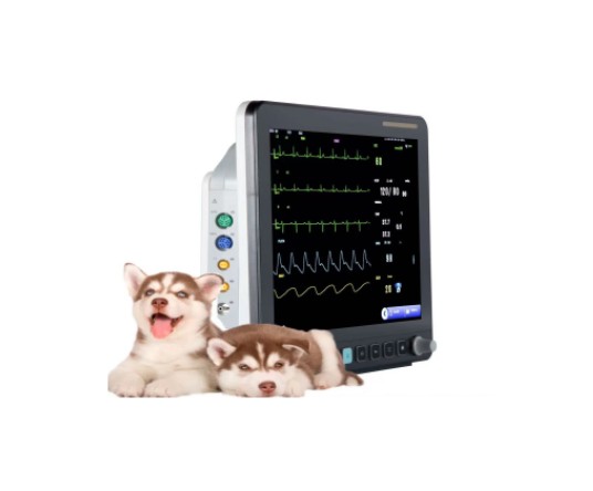WMV-VE15 Veterinary multi-parameter monitor