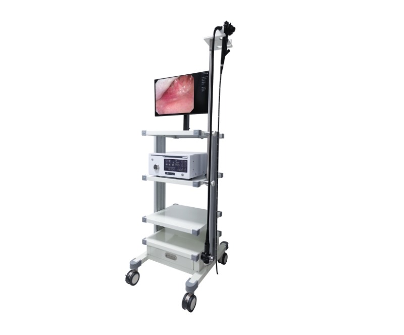 WMV-8800 Video Gastro-colonoscope