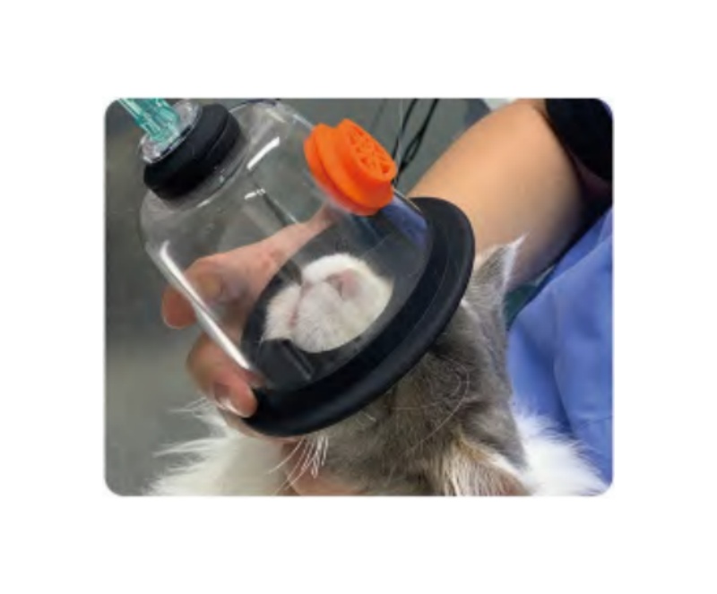 VETERINARY OXYGEN MASK