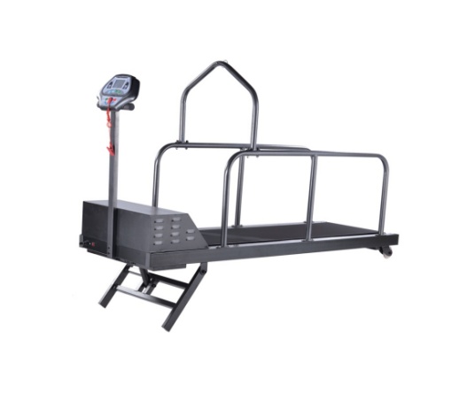 YS-C300S Pet treadmill series