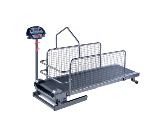YS-C300F Pet treadmill series