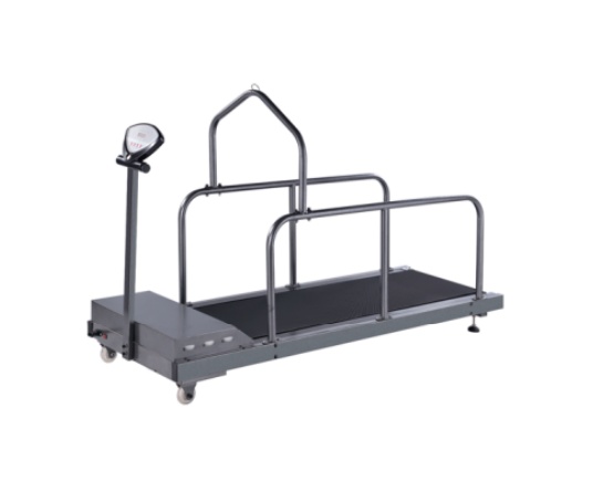 YS-C300G Pet treadmill series