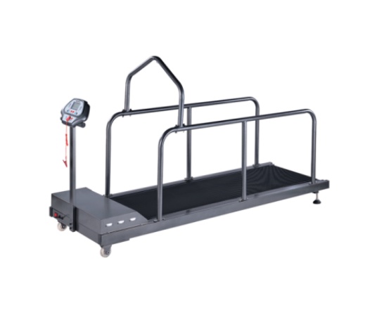 YS-C400G Pet treadmill series
