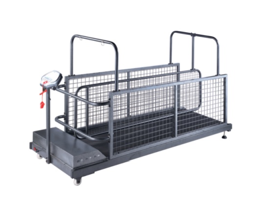 YS-C402W Pet treadmill series