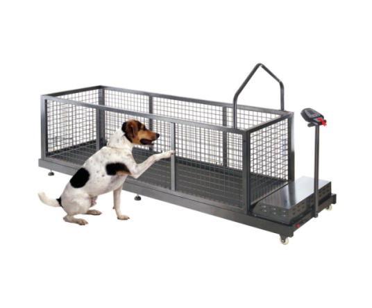 YS-C600WG Pet treadmill series