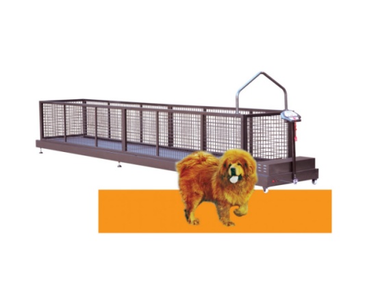 YS-C800W Pet treadmill series