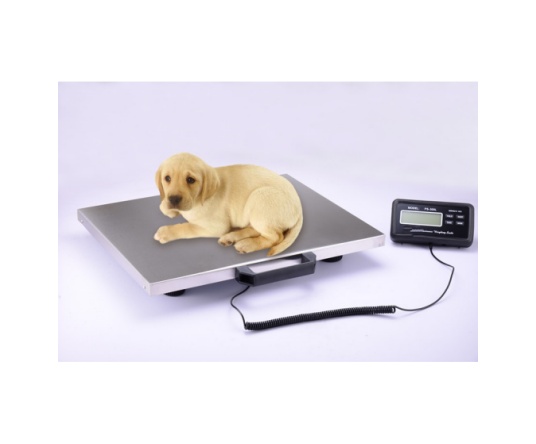 WMV 640B Series Postal scale/Parcel scale/Anminal scale