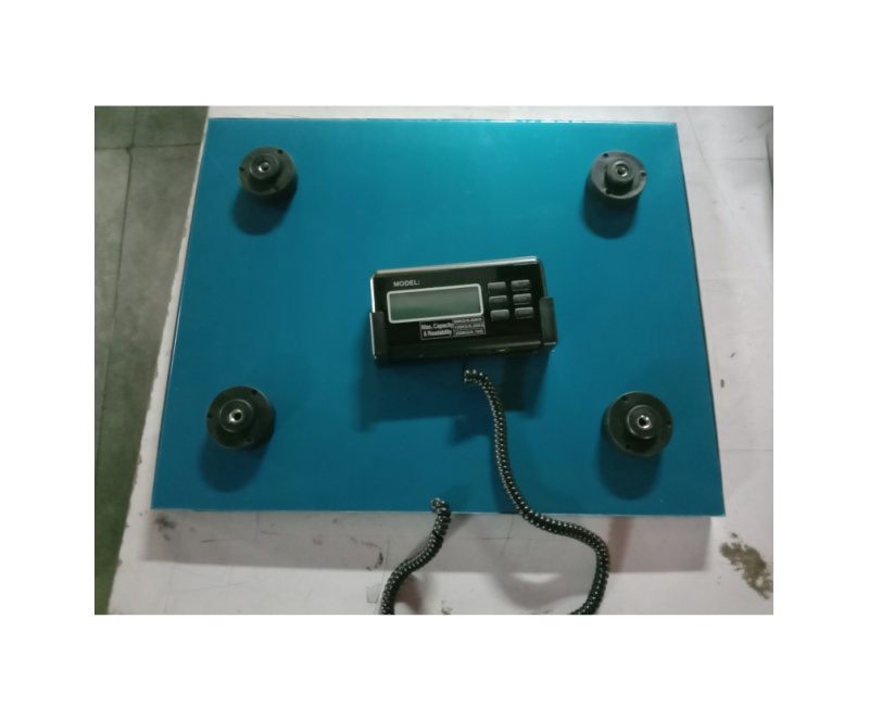 WMV 640B Series Postal scale/Parcel scale/Anminal scale
