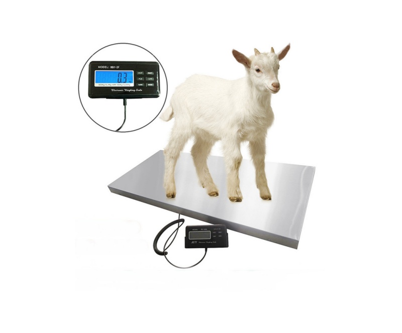 WMV 640C Series Postal scale/Parcel scale/Anminal scale