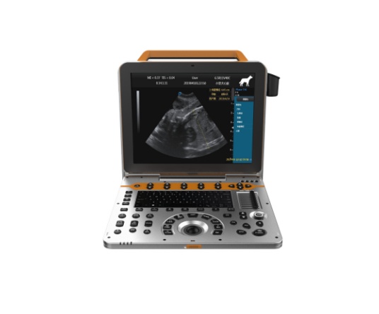 WMV-P60-VET Veterinary Color Doppler Ultrasound System