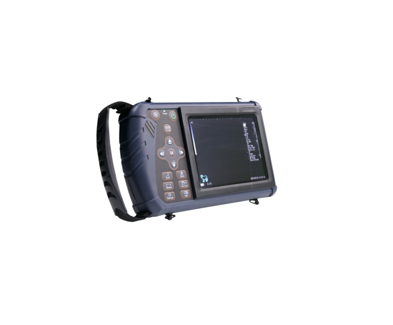 WMV-S1 VETERINARY ULTRASOUND DIAGNOSTIC SYSTEM