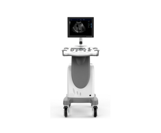 WMV-MT35 VETERINARY ULTRASOUND DIAGNOSTIC SYSTEM