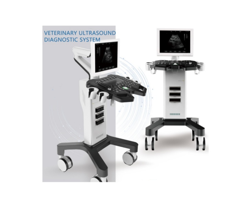 WMV-MT15 VETERINARY ULTRASOUND DIAGNOSTIC SYSTEM