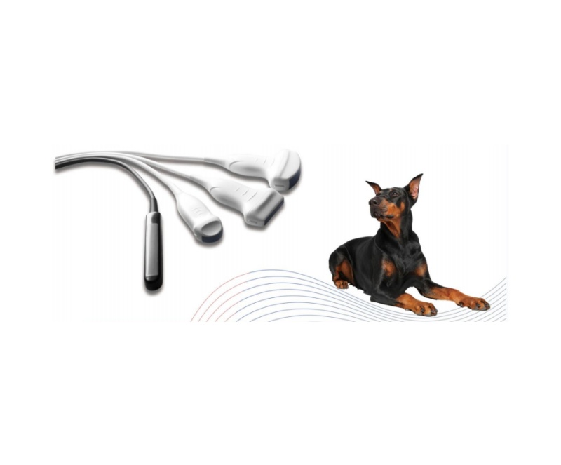 WMV-MT15 VETERINARY ULTRASOUND DIAGNOSTIC SYSTEM