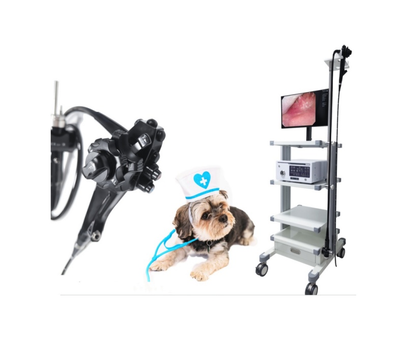 WMV-8800 Video Gastro-colonoscope