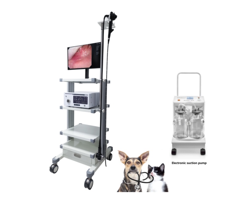 WMV-8800 Video Gastro-colonoscope