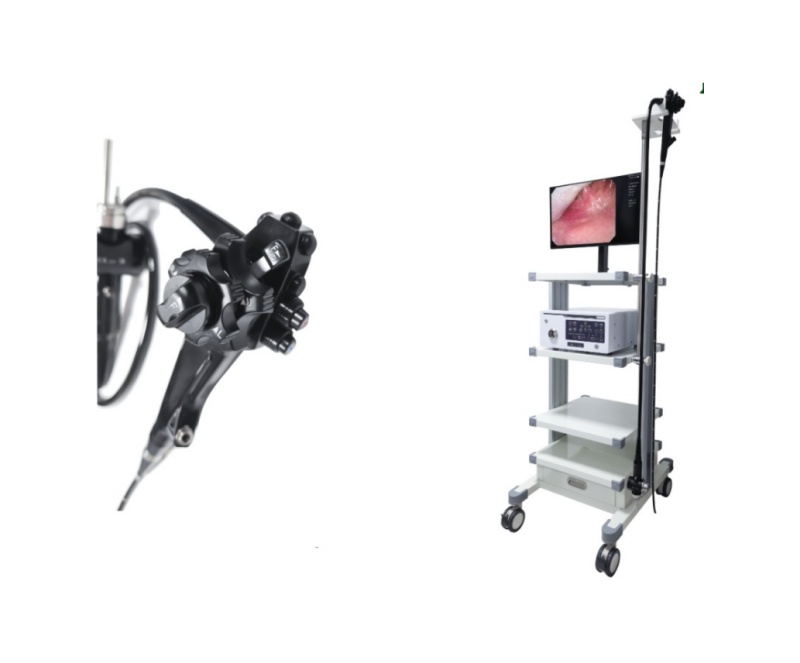 WMV-8600 Video Gastro-colonoscope
