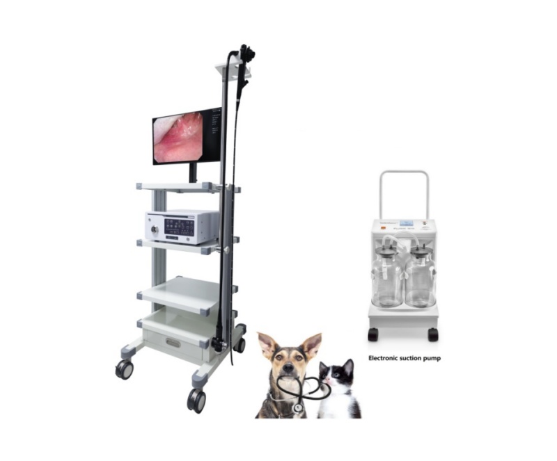 WMV-8600 Video Gastro-colonoscope