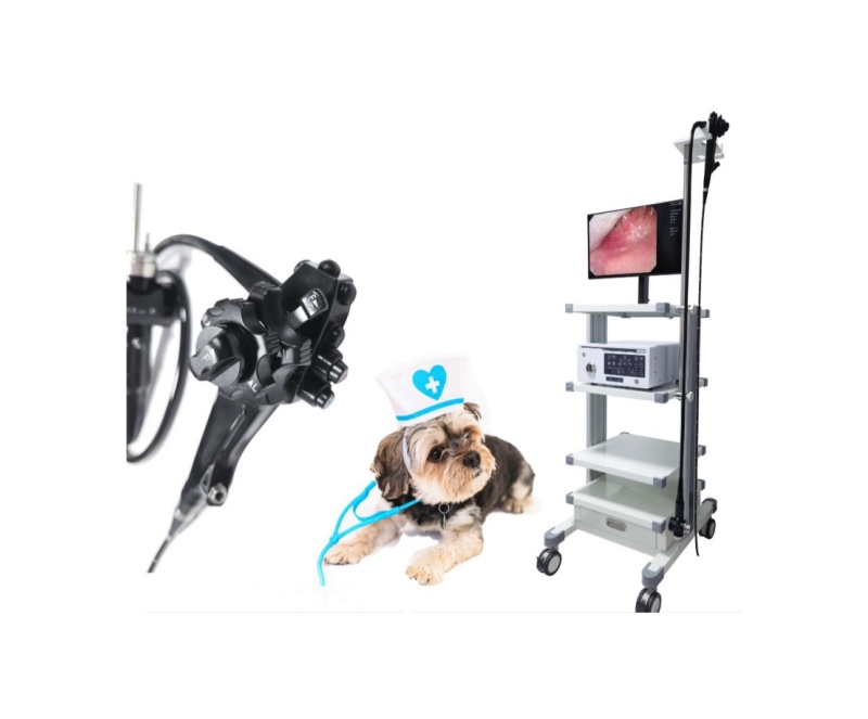 WMV-8500 Video Gastro-colonoscope