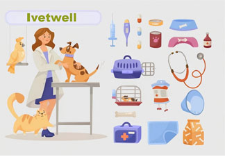 Why Specialized Veterinary Equipment is the New Standard for Modern Clinics