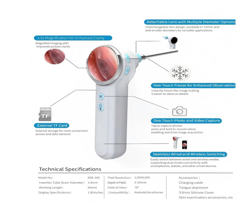 Veterinary Otoscope