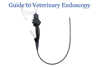 Guide to Selecting Veterinary Endoscopy Systems