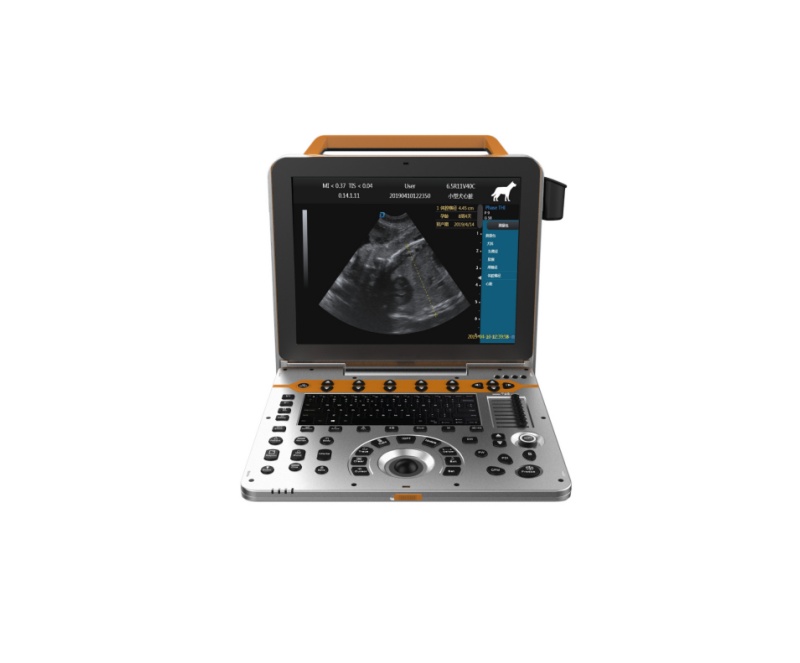Portable Veterinary Color Doppler