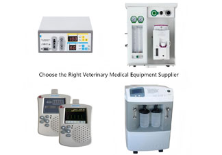 How to Choose the Right Veterinary Medical Equipment Supplier for Your Growing Animal Hospital