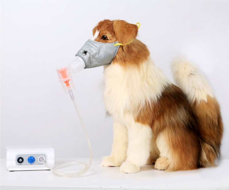 Veterinary Nebulizer Supply