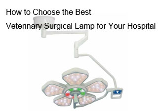 How to Choose the Best Veterinary Surgical Lamp for Your Hospital