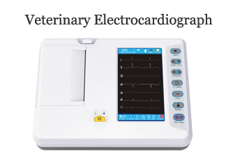 Guide to Choosing the Right Veterinary Electrocardiograph for Your Practice