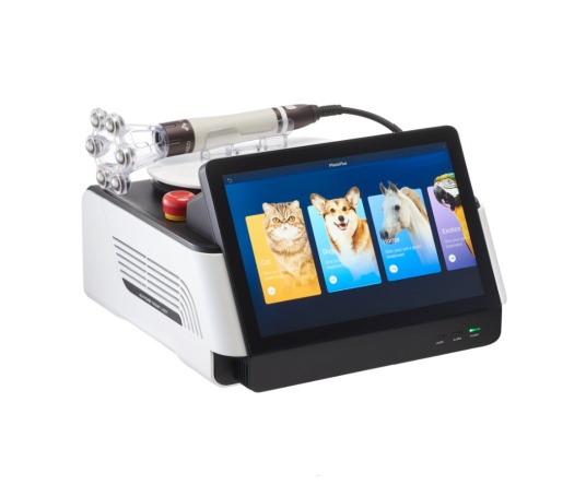 Veterinary Laser Therapy Equipment