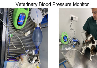 Veterinary Blood Pressure Monitor for Animal Hospitals