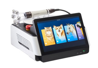 Veterinary Laser Therapy Equipment: What Veterinary Clinics Should Know