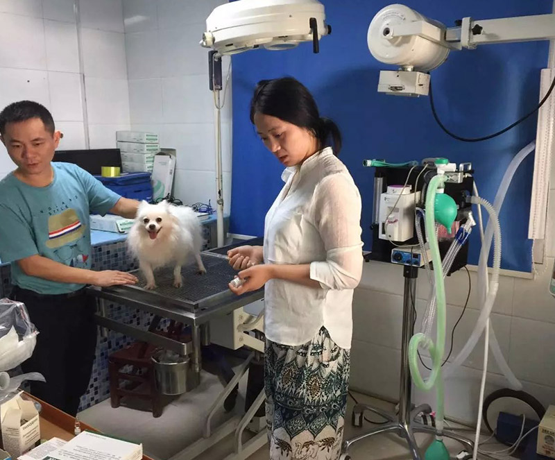 UVT-Anes05 Veterinary Anesthesia Machine